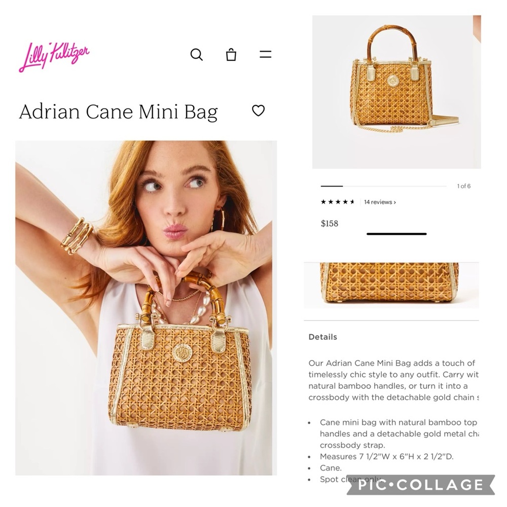 NWT- Beautiful dainty straw bag with (wrapped) removable gold chain crossbody